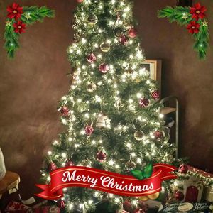 Meet your Posher, Cynthia